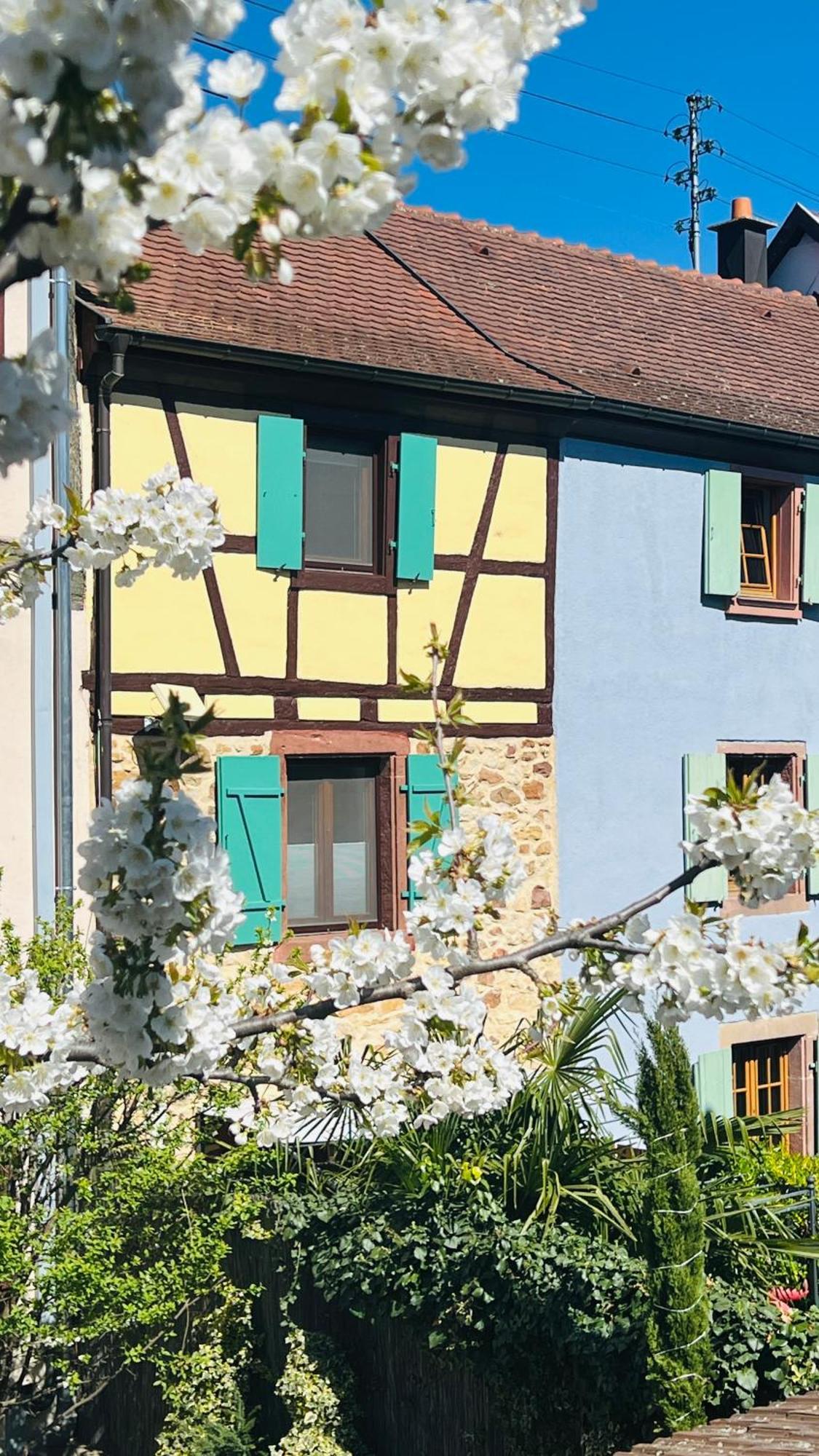 Gite Le Coq Rouge Eguisheim Zewnętrze zdjęcie