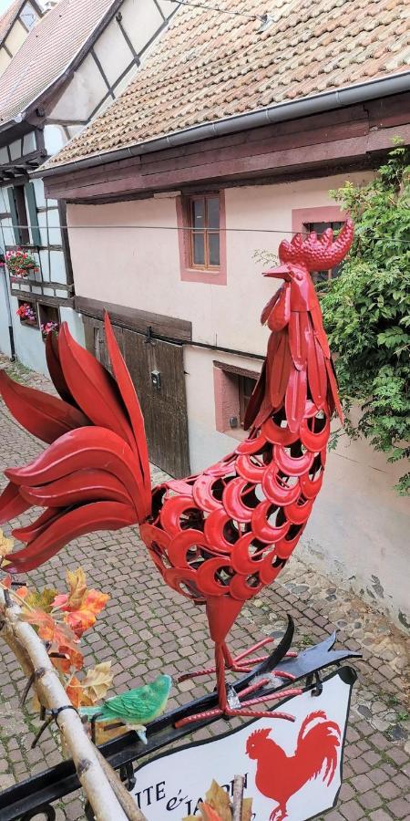 Gite Le Coq Rouge Eguisheim Zewnętrze zdjęcie